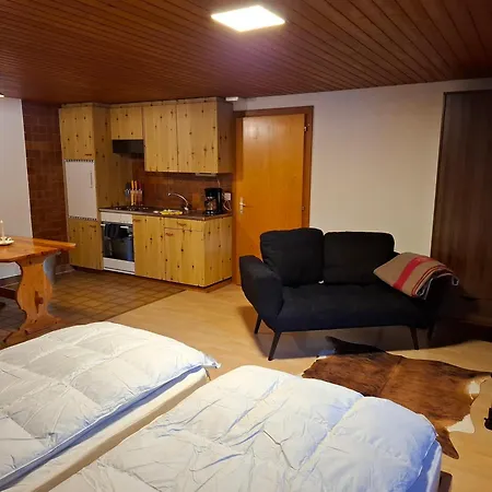 Apartment Morenka *